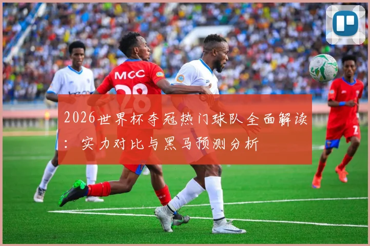2026世界杯夺冠热门球队全面解读：实力对比与黑马预测分析